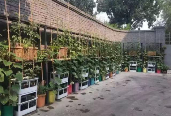 微信图片_20201218113438